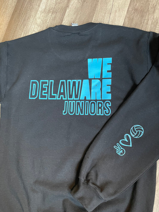 We Are Delaware (teal)