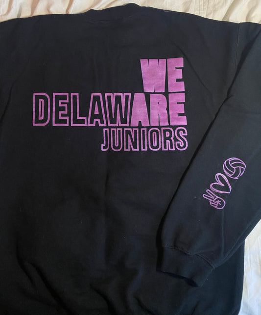 We Are Delaware (purple)